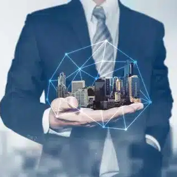 Portfolio image
